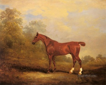 動物 Painting - セシル・ホース ジョン・ファーニーリー・シニア